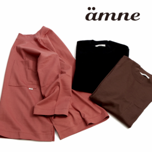 amnehp34t